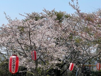 ～春うらら～